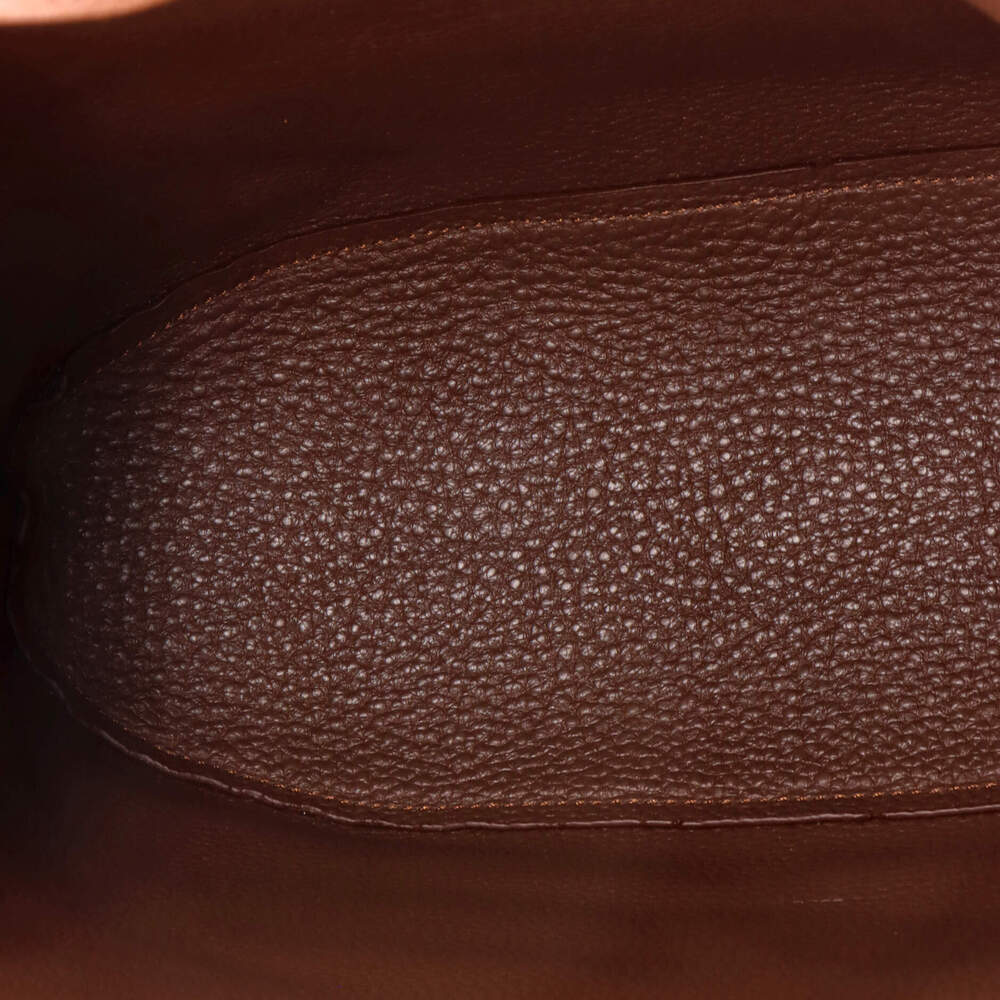 Celine Triomphe Bucket Bag Embossed #247952C16B - Picture 5 of 8